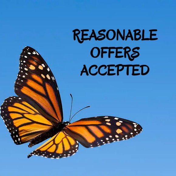 Accepting Reasonable Offers - No Lowballing Please - Picture 1 of 1